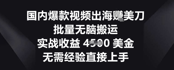 国内爆款视频出海挣美刀,批量无脑搬运,实战收益4.5k,无需经验直接上手-轻创终点站